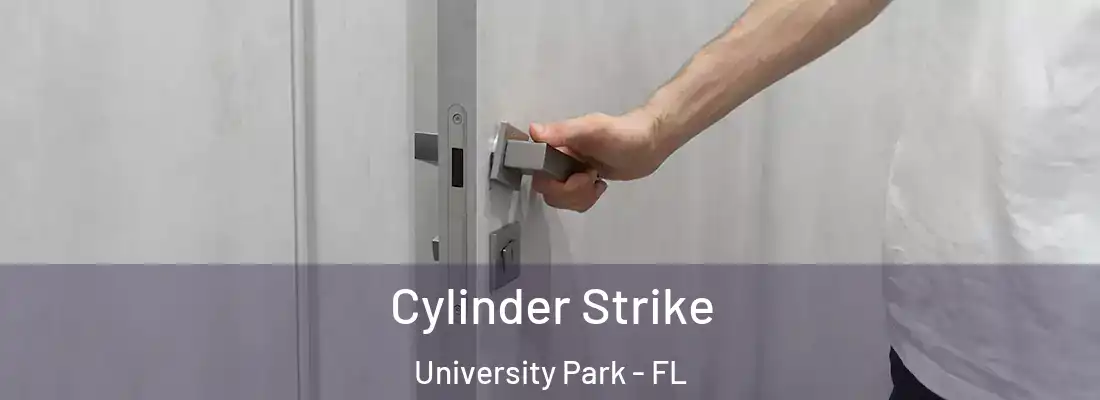  Cylinder Strike University Park - FL